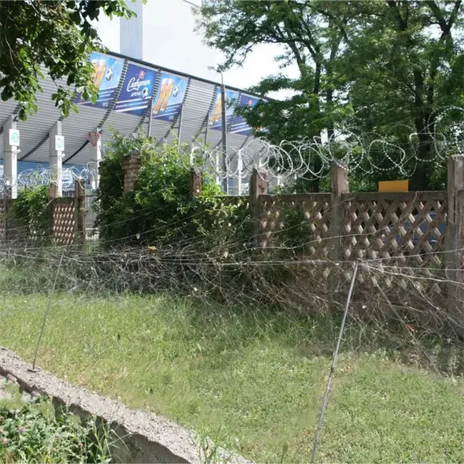 午夜精品A片一区二区三区