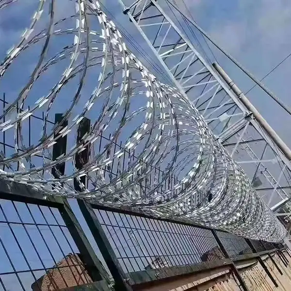 选择刀片刺网和订购技术术语