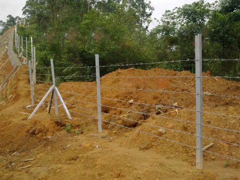 午夜精品A片一区二区三区