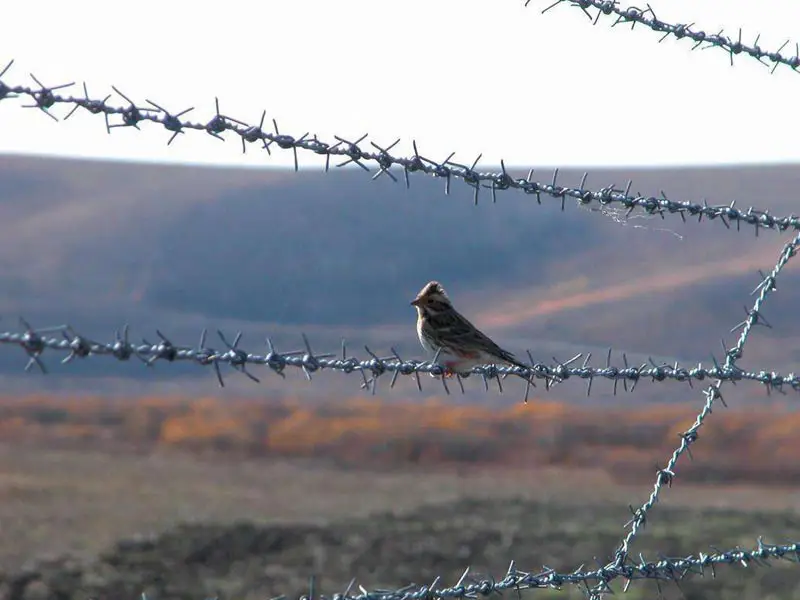 午夜精品A片一区二区三区