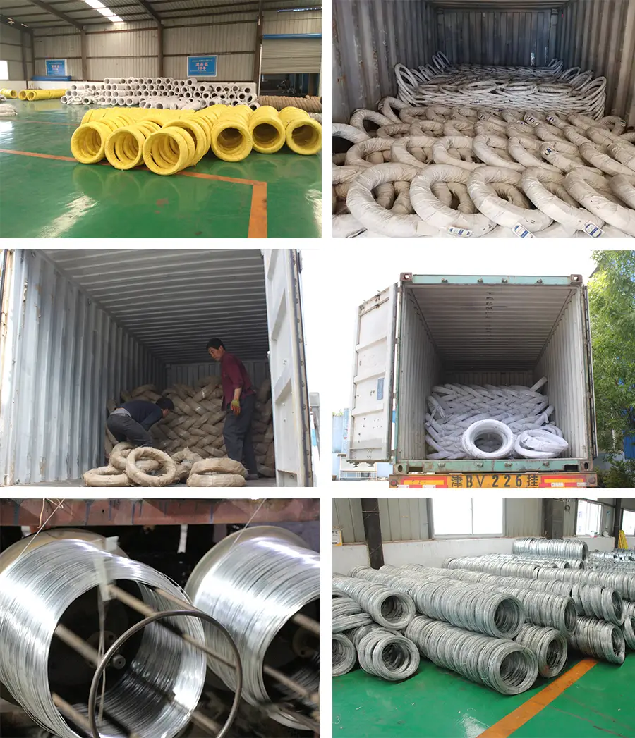 午夜精品A片一区二区三区