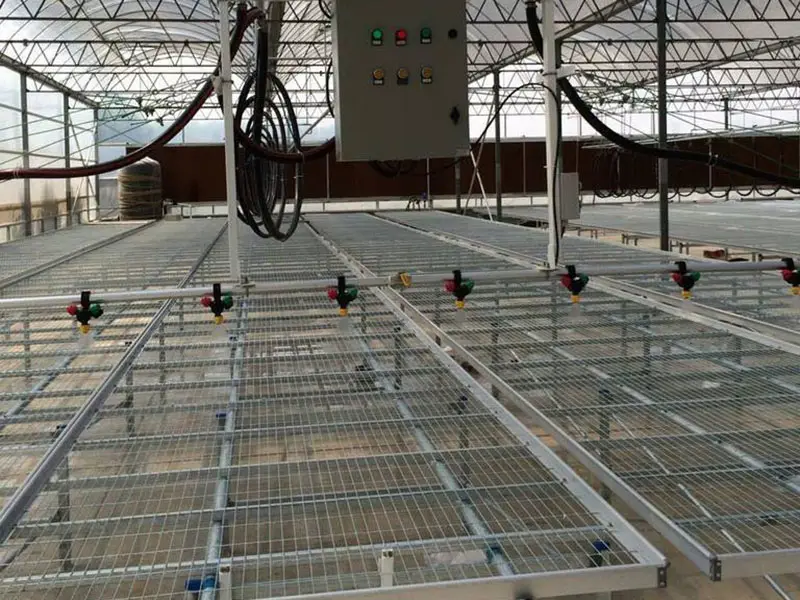 午夜精品A片一区二区三区