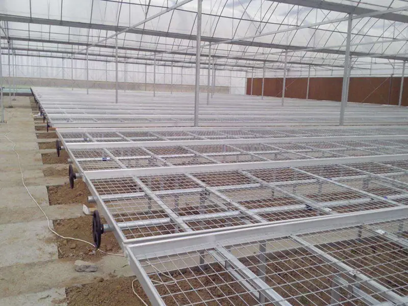 午夜精品A片一区二区三区