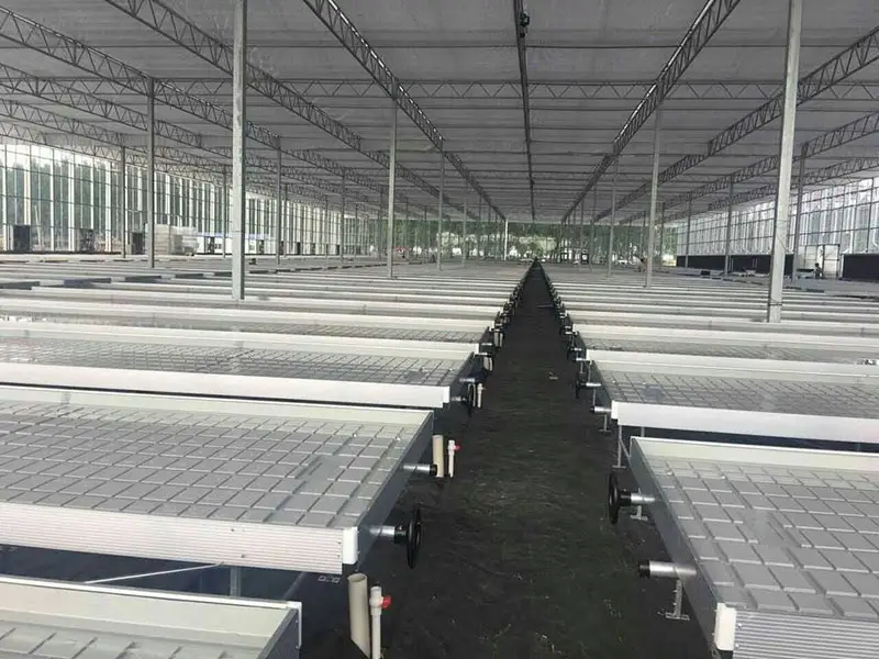 午夜精品A片一区二区三区